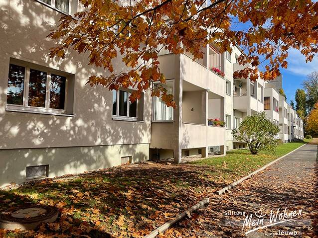 Seniorengerechte 2-Raum-Wohnung mit Dusche & Balkon - bei Einzug frisch renoviert