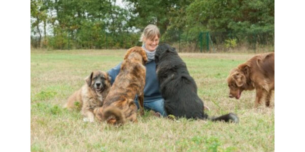 Erdgeschoßwohnung Lewitzrand - 1 Zimmer, 33 m&sup2;, 250&euro; | Angebot:22066242