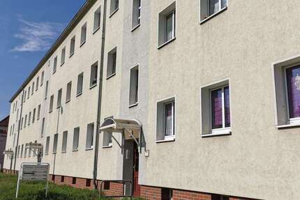 Wohnung zum Mieten in Magdeburg 386,88 € 59.52 m² 3 zimmer
