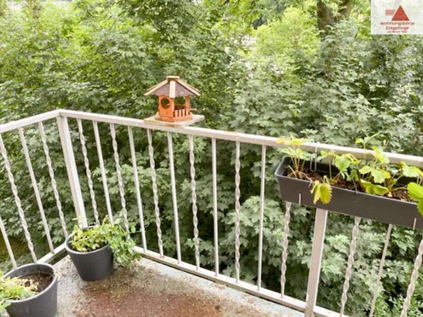 Wohnung zum Mieten in Annaberg-Buchholz 529 € 101.82 m²
