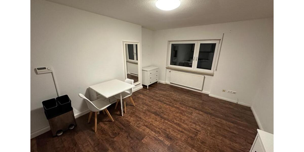 zentrale, aber ruhige 1-Zimmer Wohnung in Landau, teilmöbliert 1 zimmer