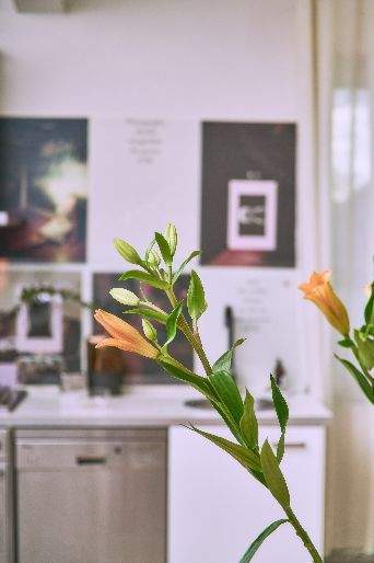 Gewerbeobjekt Köln Bickendorf - 340&euro; | Angebot:25900383