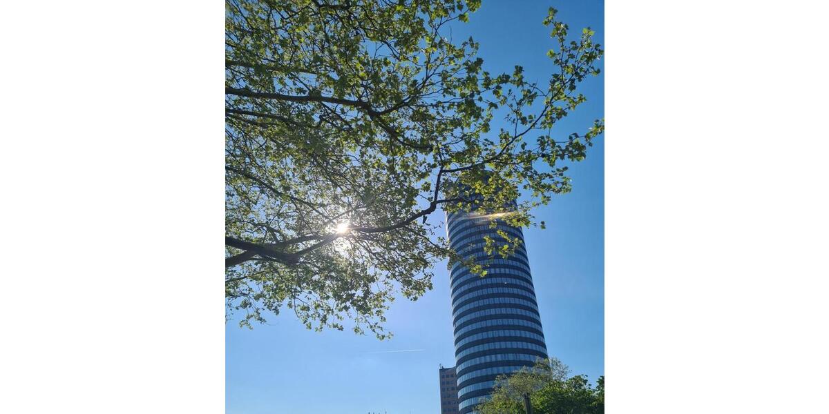 Erdgeschoßwohnung Dornburg-Camburg Camburg - 3 Zimmer, 60 m&sup2;, 545&euro; | Angebot:24607128