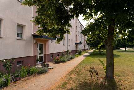 Wohnung Kleinau Kleinau - 3 Zimmer, 58 m&sup2;, 300&euro; | Angebot:22467486