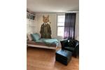 Wohnen auf Zeit Uelzen - 1 Zimmer, 30 m&sup2;, 35&euro; | Angebot:26331185