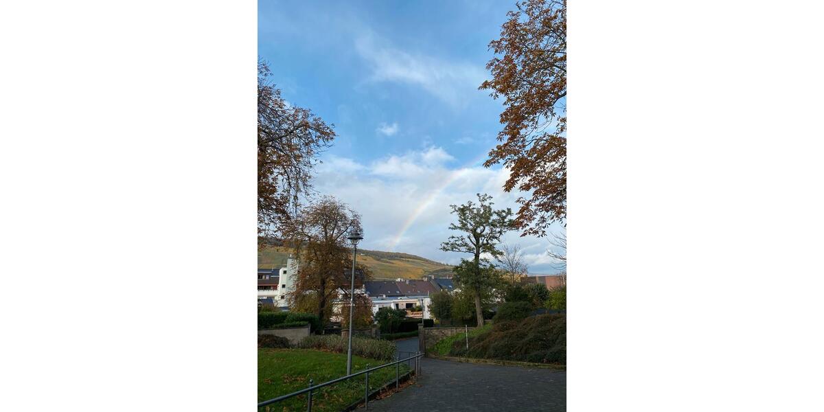 Etagenwohnung Bingen am Rhein - 3 Zimmer, 55 m&sup2;, 1.100&euro; | Angebot:26129689