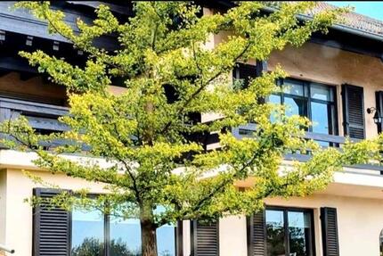 Wohnung mit Terrasse und Einbauküche GummersbachEngelskirchen 2 zimmer