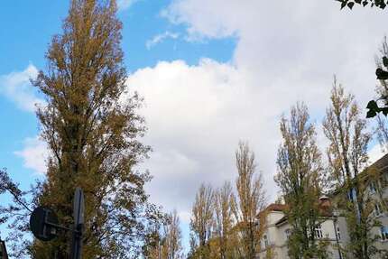 Gewerbeobjekt München Schwabing - 1.695&euro; | Angebot:26177792