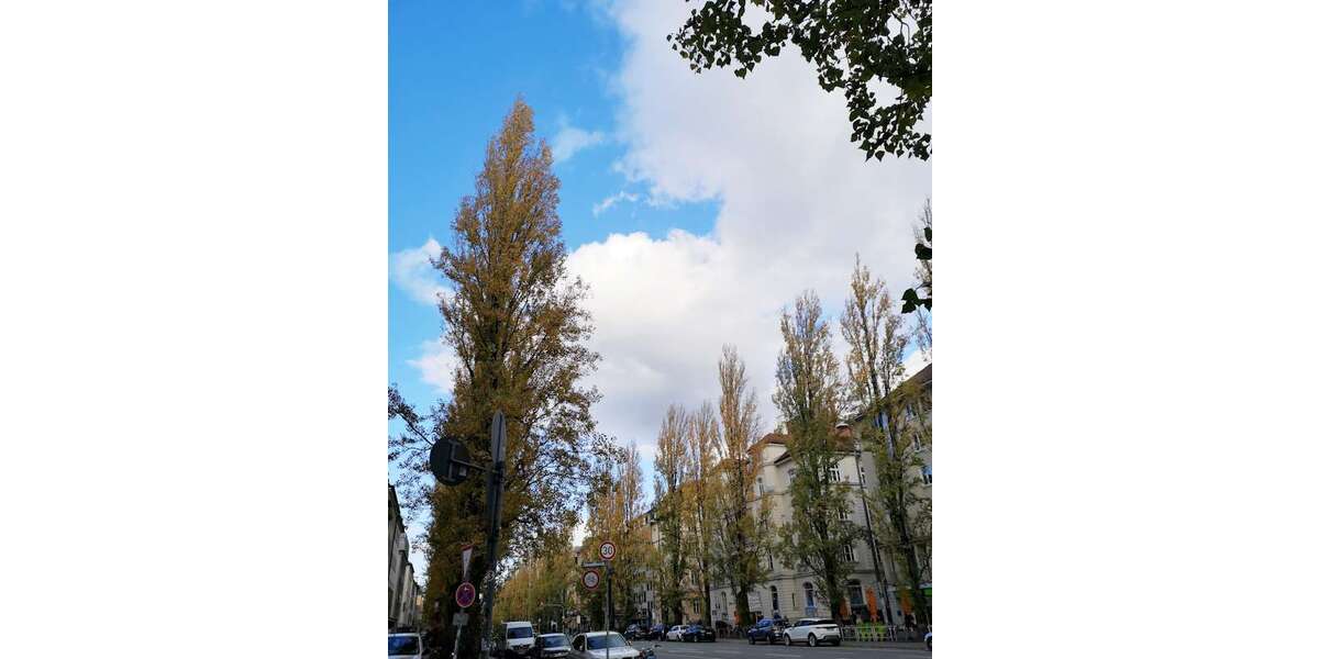 Gewerbeobjekt München Schwabing - 1.695&euro; | Angebot:26177792