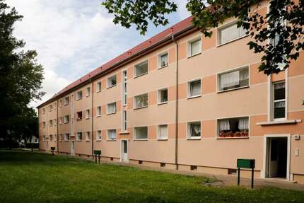 Wohnung zum Mieten in Weißenfels 388,50 € 51.8 m² 2 zimmer