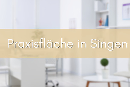 Gewerbeobjekt Singen (Hohentwiel) Singen - 6 Zimmer, 129 m&sup2;, 1.550&euro; | Angebot:25864311