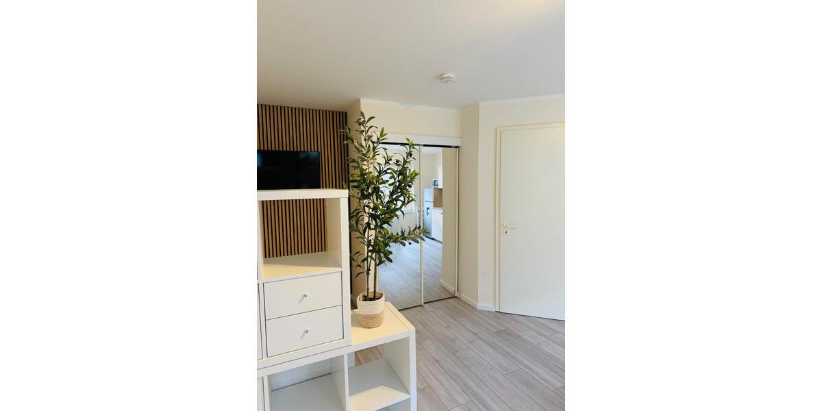 Etagenwohnung Freiberg - 1 Zimmer, 30 m&sup2;, 240&euro; | Angebot:24624038