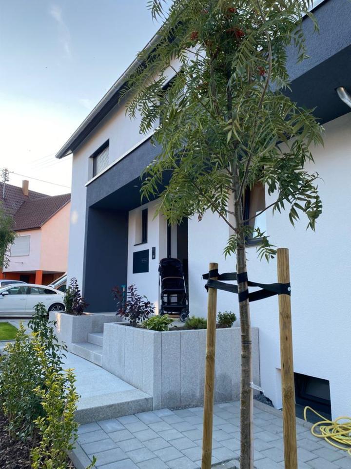 Haus im Haus, großzügige 5 Zi. Wohnung mit 40 qm Dachterrasse