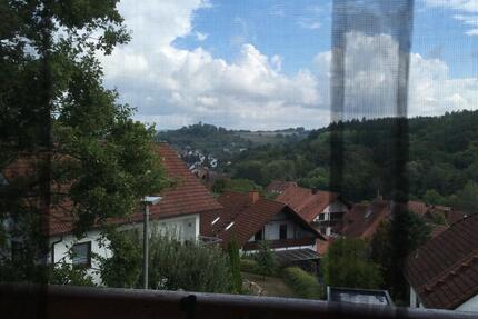 2-Zi.-DG mit Gallerie, EBK, Loggia und Balkon in Eltmann 1 zimmer