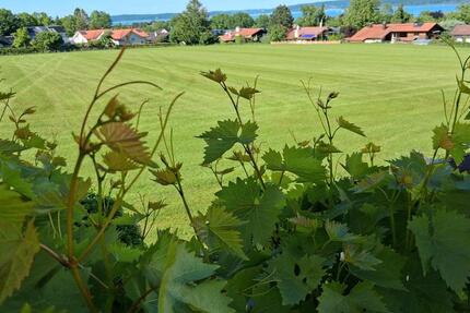 Wohnen auf Zeit Dießen am Ammersee - 1 Zimmer, 550&euro; | Angebot:21612932