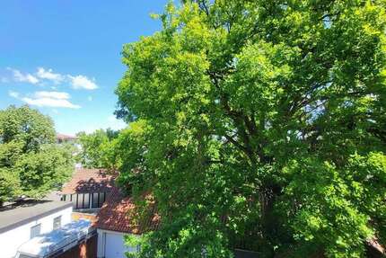 Wohnung zum Mieten in Gifhorn 650 € 80.5 m²