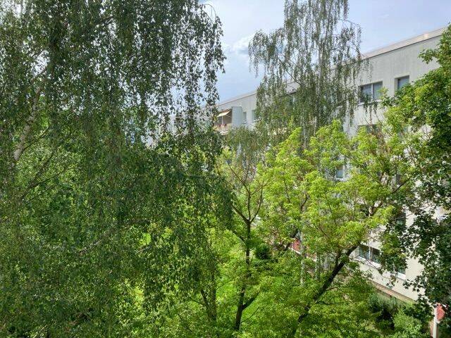 Etagenwohnung Gera Lusan - 3 Zimmer, 68 m&sup2;, 380&euro; | Angebot:26833433