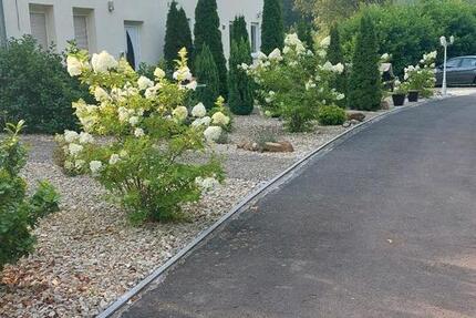 Wohnung Bad Sobernheim - 1 Zimmer, 45 m&sup2;, 775&euro; | Angebot:26236207