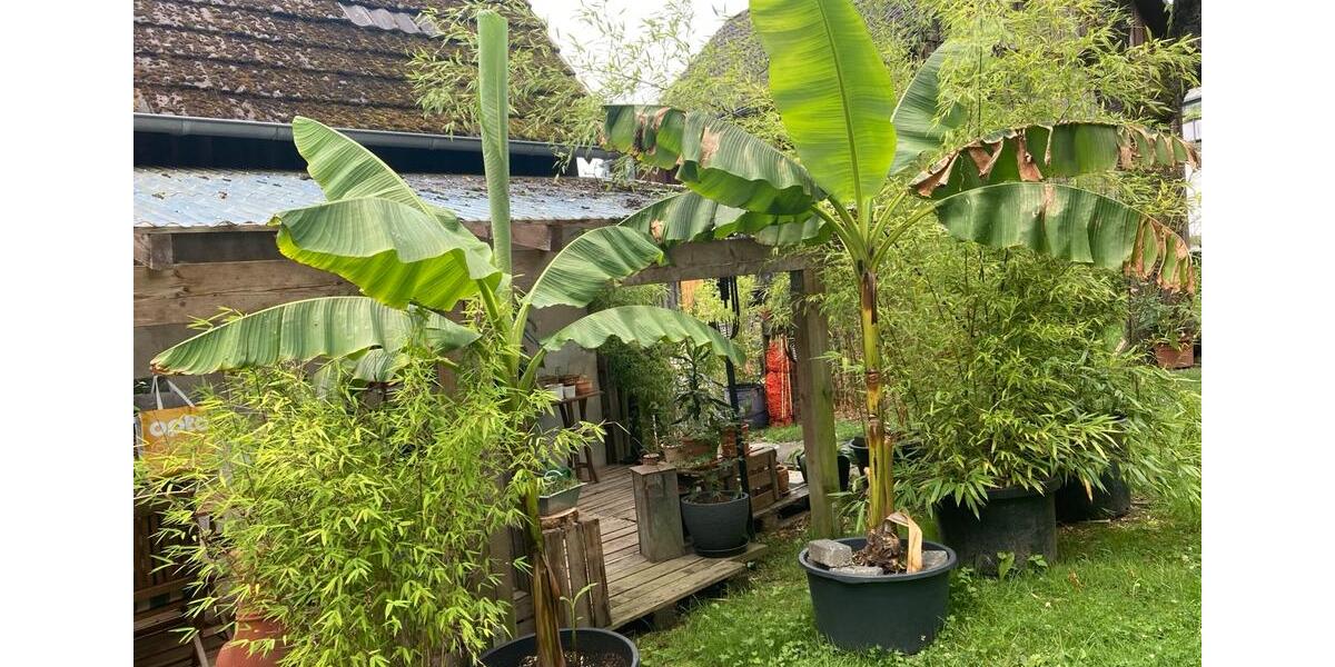 Wohnen auf Zeit Ruppichteroth - 1 Zimmer, 14 m&sup2;, 123&euro; | Angebot:25845301