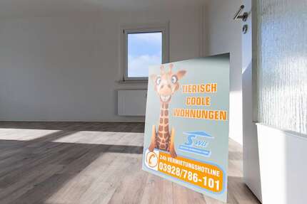 Wohnung Schönebeck Schönebeck-Salzelmen - 2 Zimmer, 50 m&sup2;, 273&euro; | Angebot:26786277