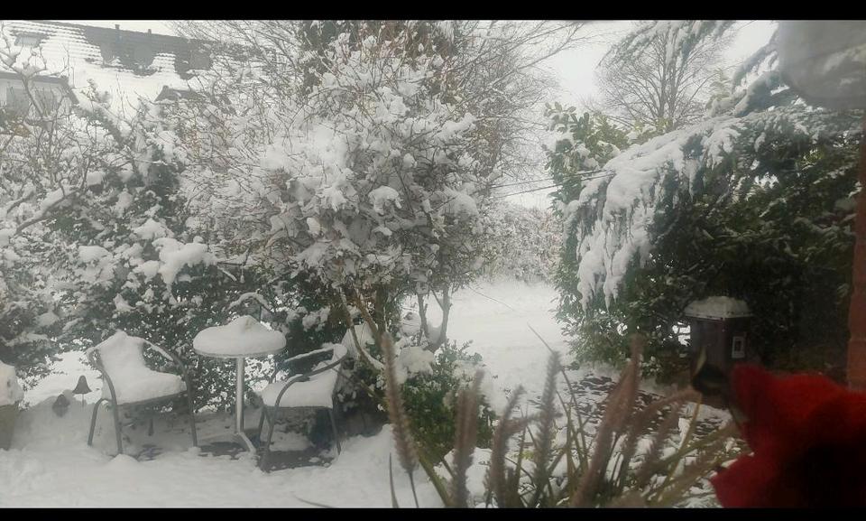 Wohnen auf Zeit Rieseby - 2 Zimmer, 46 m&sup2;, 410&euro; | Angebot:24604240