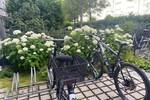 Charmante 2-Zimmer-GartenWohnung in Isarnähe Thalkirchen
