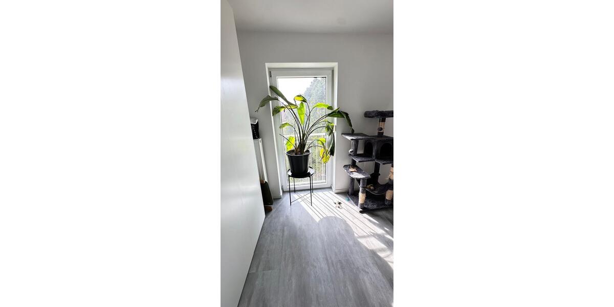 Dachgeschoßwohnung Gunzenhausen - 3 Zimmer, 57 m&sup2;, 650&euro; | Angebot:26461542