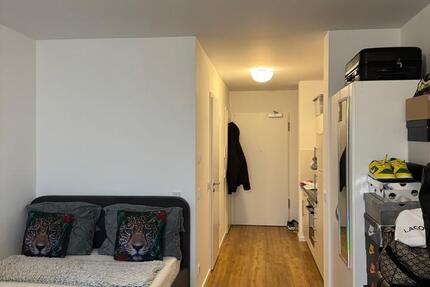 Wohnen auf Zeit Berlin Reinickendorf - 1 Zimmer, 30 m&sup2;, 800&euro; | Angebot:26688193