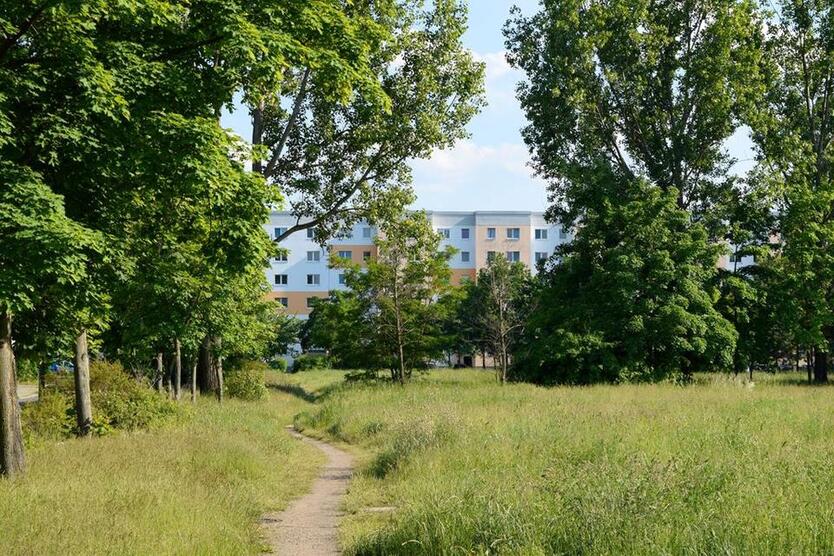 Hoch hinaus und den Ausblick genießen!