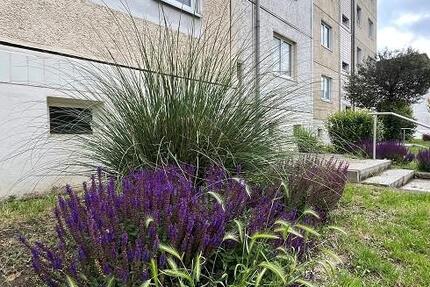 Wohnen in der Hochparterre - Wohnung mit Dusche im Zentrum zimmer