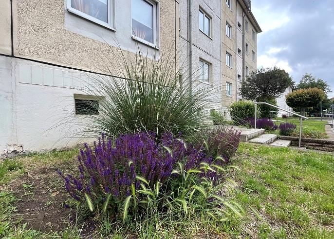 Wohnen in der Hochparterre - Wohnung mit Dusche im Zentrum zimmer