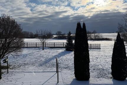 Haus Wald - 6 Zimmer, 188 m&sup2;, 1.250&euro; | Angebot:24479919