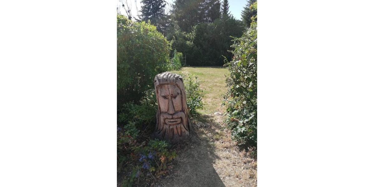 Erdgeschoßwohnung Helmstedt Offleben - 3 Zimmer, 62 m&sup2;, 645&euro; | Angebot:25853445