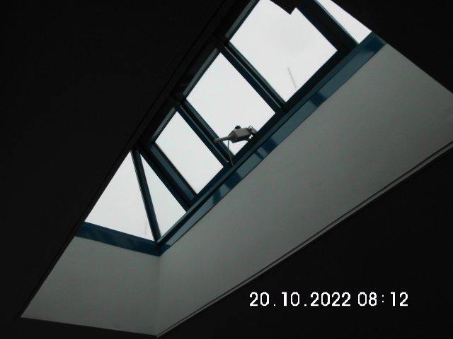 Dachgeschoßwohnung Magdeburg - 2 Zimmer, 57 m&sup2;, 525&euro; | Angebot:26068776