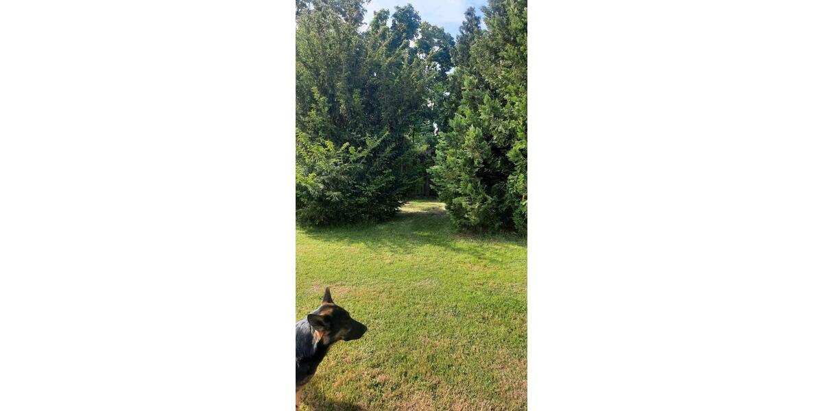 Etagenwohnung Jüterbog - 790&euro; | Angebot:25944238