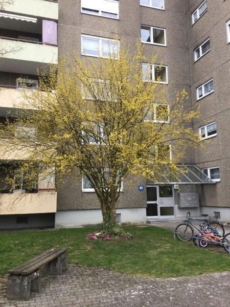 Helle 3-Zimmer-Wohnung nur mit WOHNBERECHTIGUNGSSCHEIN