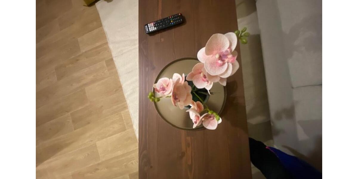 Wohnen auf Zeit Magdeburg Leipziger Straße - 1 Zimmer, 31 m&sup2;, 995&euro; | Angebot:25047982