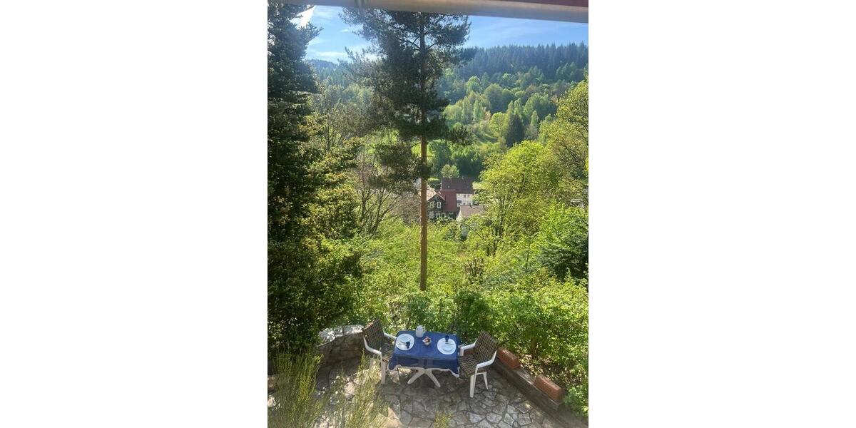 Ferienhaus Blockhaus Harz b 8 Pers +Hunde Terrassen 2 Kamine 4 zimmer