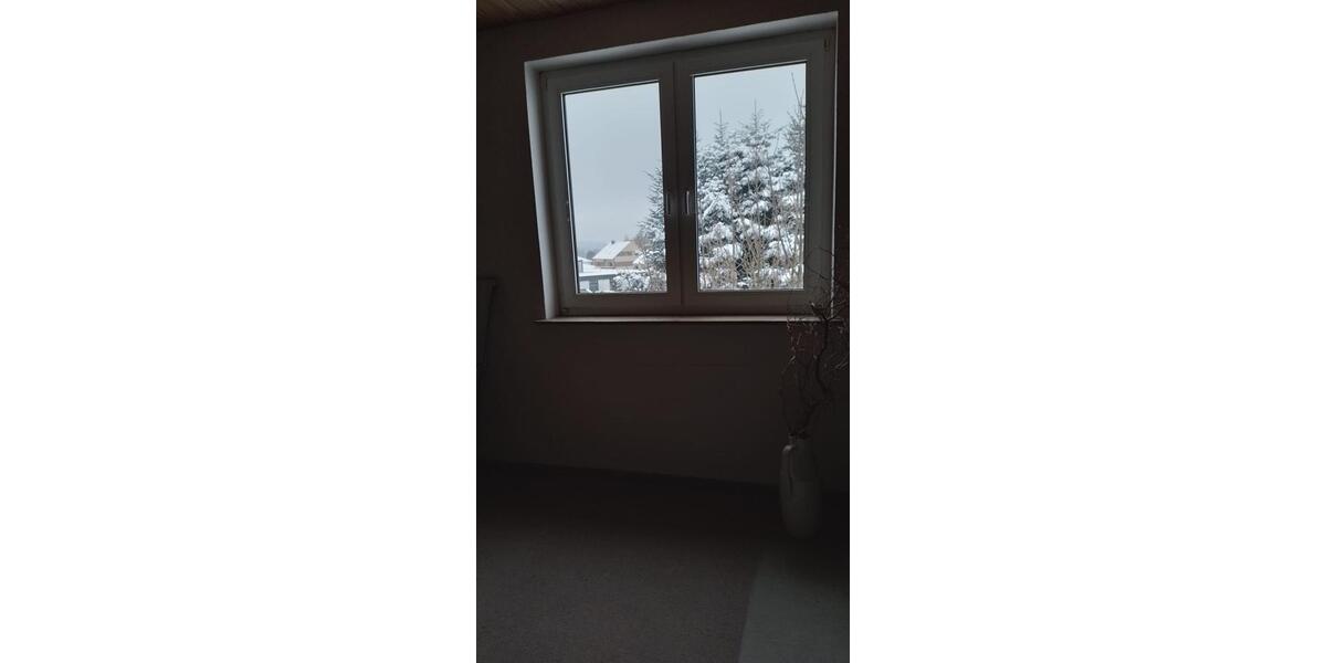 Dachgeschoßwohnung Selb - 3 Zimmer, 100 m&sup2;, 650&euro; | Angebot:24663321