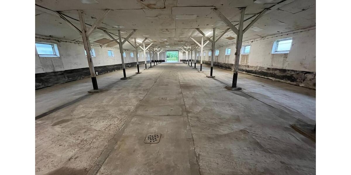 Gewerbeobjekt Nordstemmen - 900&euro; | Angebot:24705892