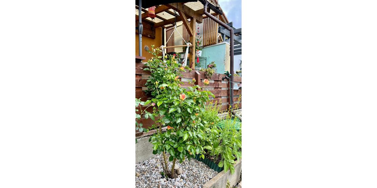 Reihenhaus Villingen-Schwenningen Schwenningen - 5 Zimmer, 140 m&sup2;, 1.400&euro; | Angebot:26641058