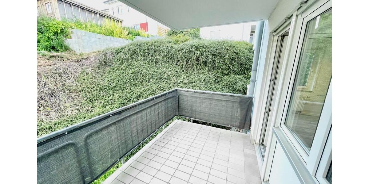 Erdgeschoßwohnung Pirna - 2 Zimmer, 56 m&sup2;, 617&euro; | Angebot:25636221