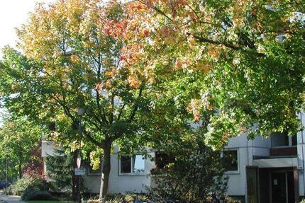 Sanierte Wohnung in Stadtnähe zimmer