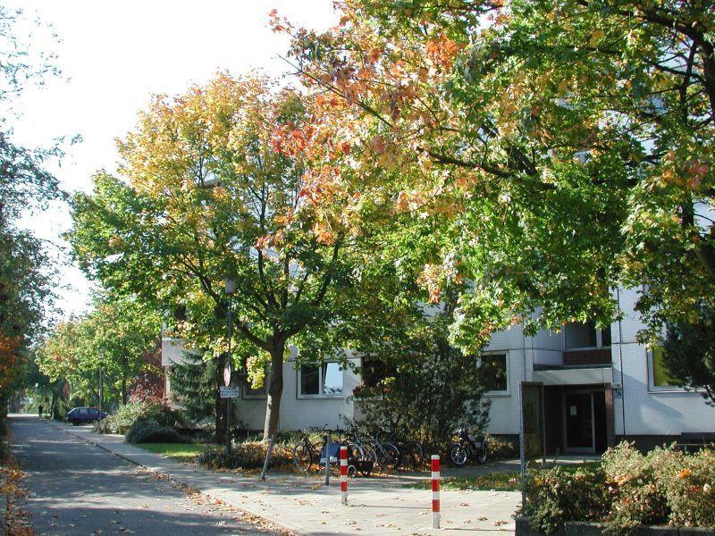 Sanierte Wohnung in Stadtnähe zimmer