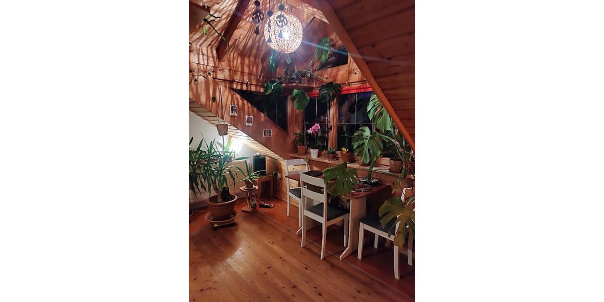 Wohnen auf Zeit Schwifting - 2 Zimmer, 60 m&sup2;, 800&euro; | Angebot:24853158