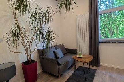 Wohnen auf Zeit Aachen Aachen-Mitte - 1 Zimmer, 18 m&sup2;, 590&euro; | Angebot:26456023