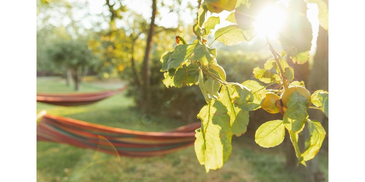 Erdgeschoßwohnung Rostock Hansaviertel - 1 Zimmer, 12 m&sup2;, 450&euro; | Angebot:25022999