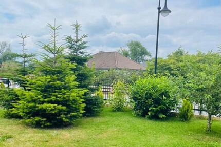 Schöne 2-Zimmer Whg in Bienenbüttel 2 zimmer