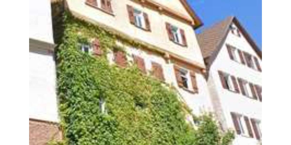 Etagenwohnung Altensteig - 2 Zimmer, 50 m&sup2;, 331&euro; | Angebot:25887869