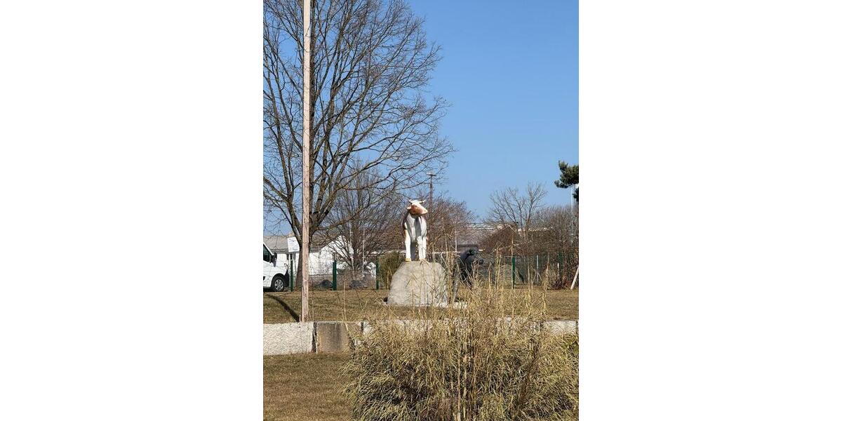 Wohnen auf Zeit Wunsiedel - 10 Zimmer, 75 m&sup2;, 20&euro; | Angebot:23569878